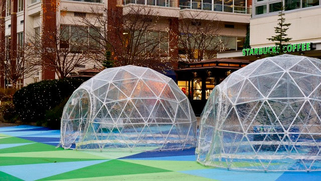 Smaller Version Safe Pod Steel Patio Igloo 6 Person 3.5M Geodesic Dome Tent Circular Zipper Entrance